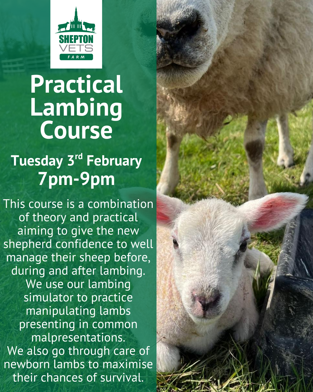 3rd February Practical Lambing Evening