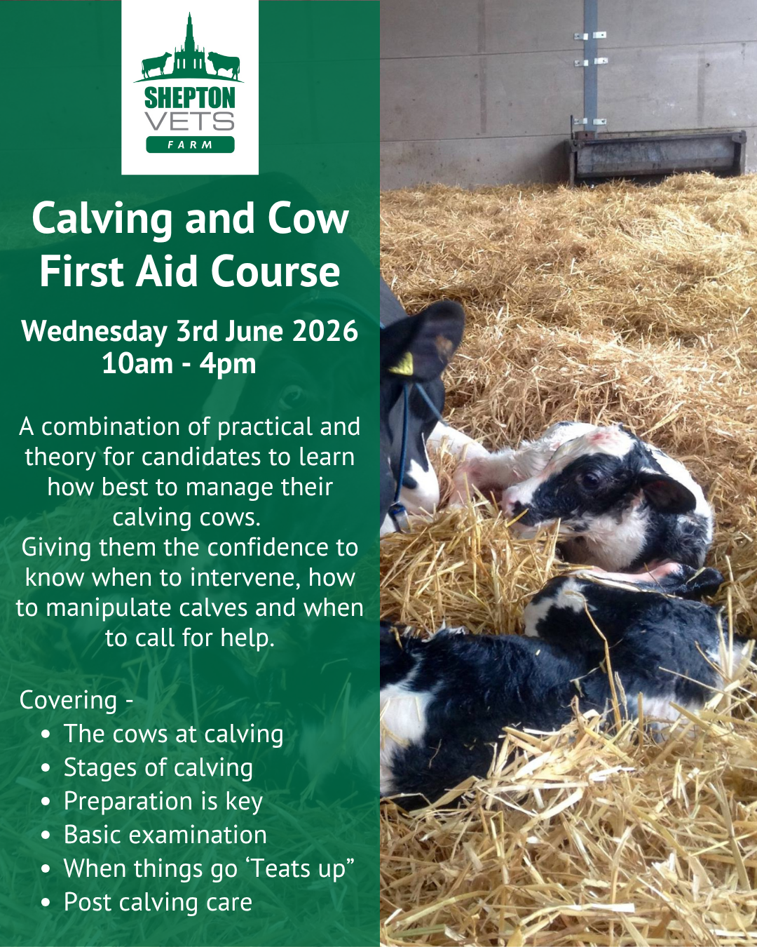 3rd June – Calving and Cow First Aid