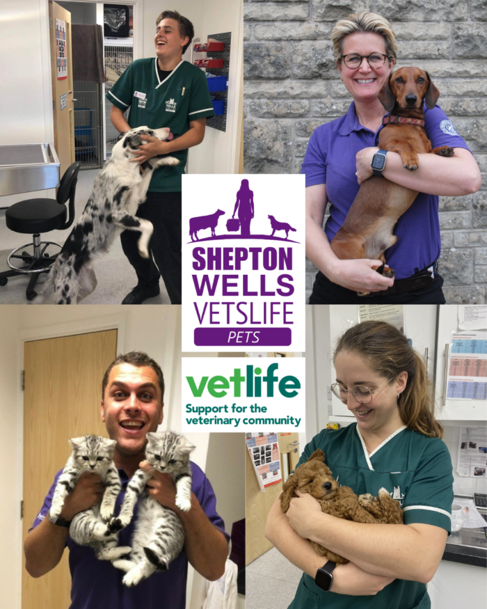 Looking After Those Who Care for Your Pets – Supporting Mental Health in the Veterinary Profession