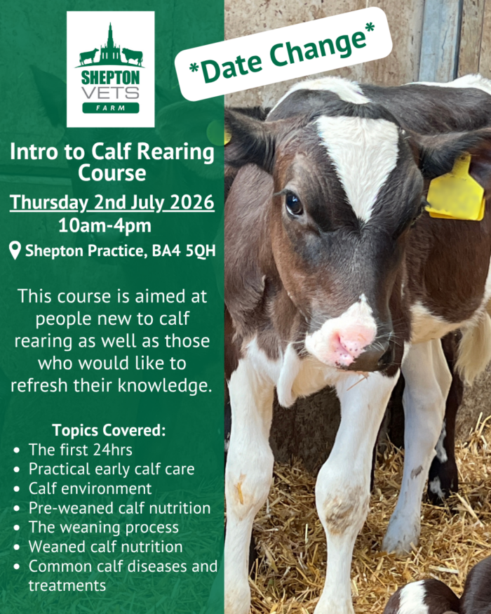 2nd July – Intro to Calf Rearing Course
