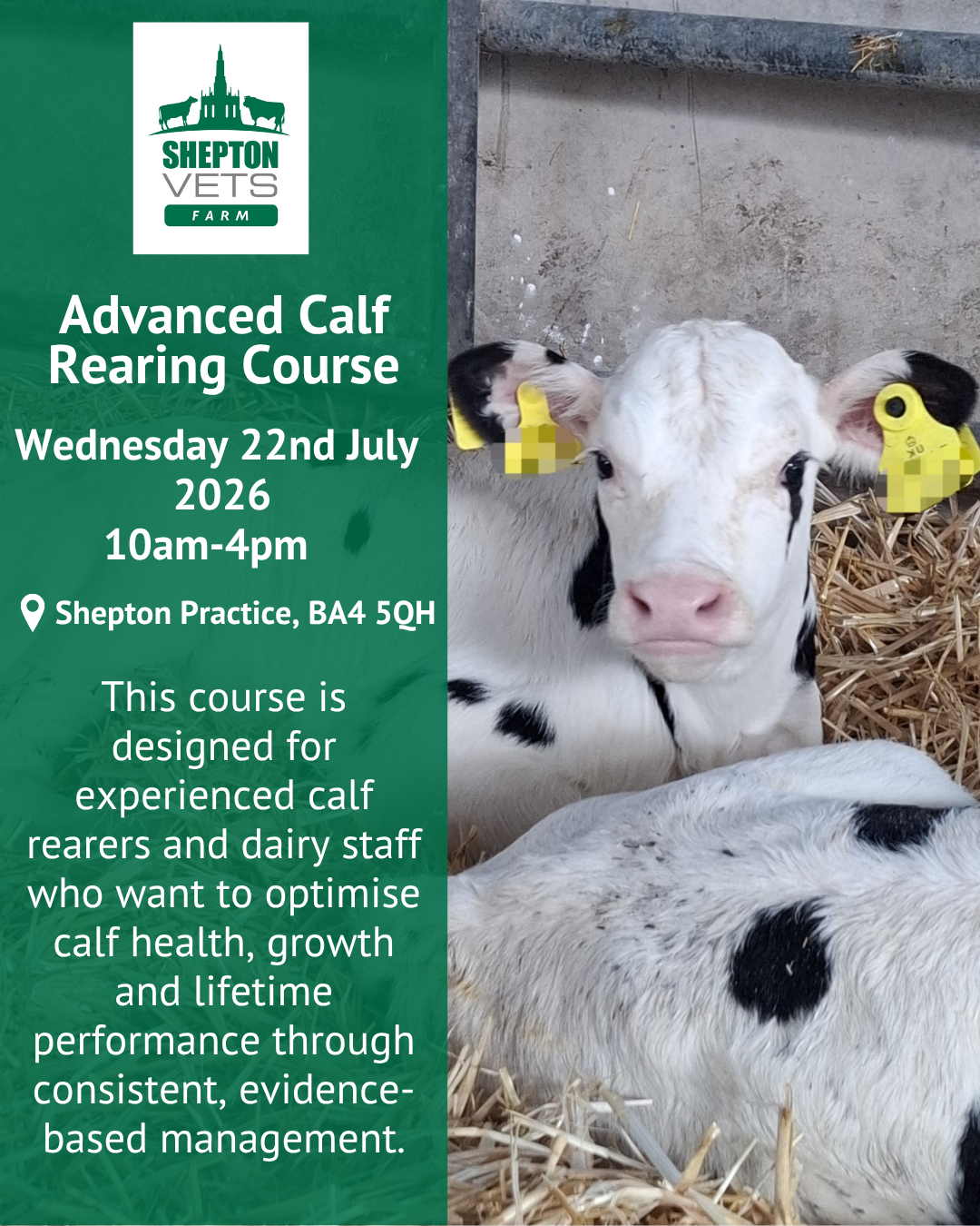 22nd July – Advanced Calf Rearing Course