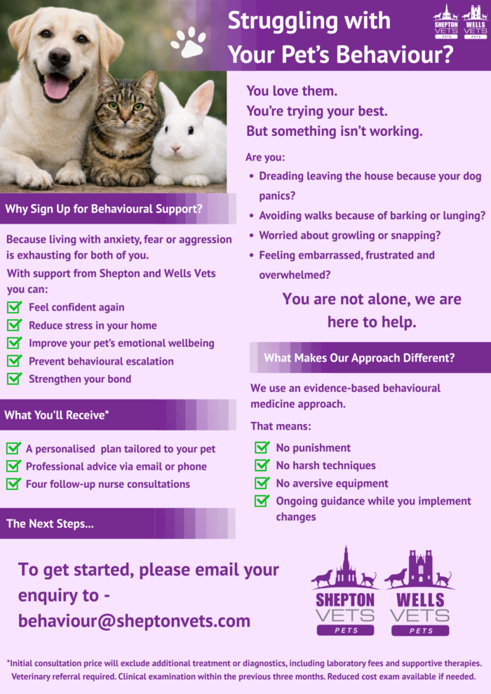 Behaviour poster no price