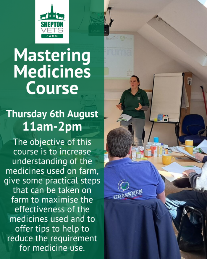 6th August – Mastering medicines