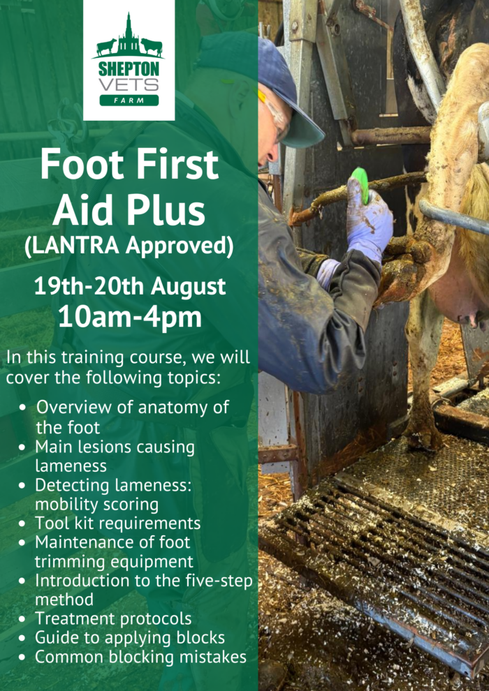 19th-20th August Foot Trimming Course