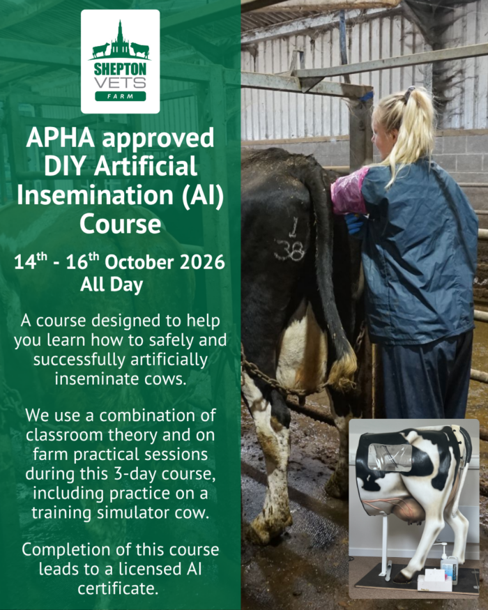 14th-16th October DIY AI course