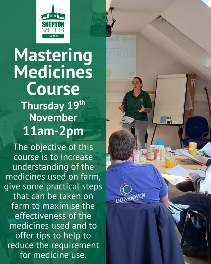 19th November Mastering Medicines Course