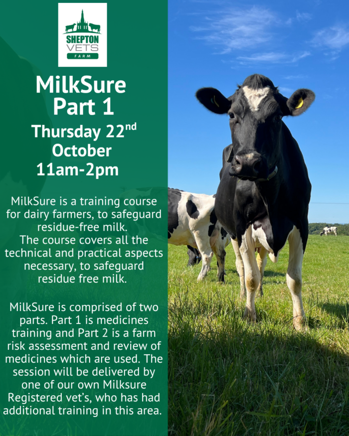 22nd October MilkSure Part 1