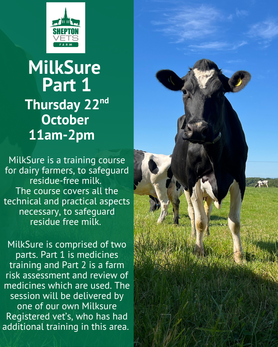 22nd October MilkSure Part 1