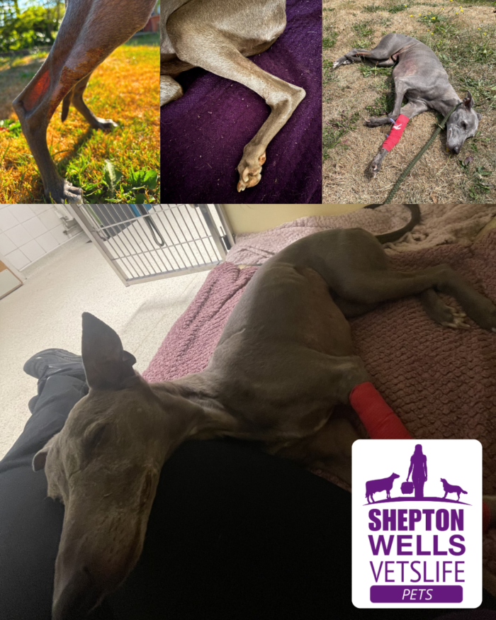 One step at a time: Angus’ story